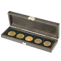 Coin cases for multiple coins